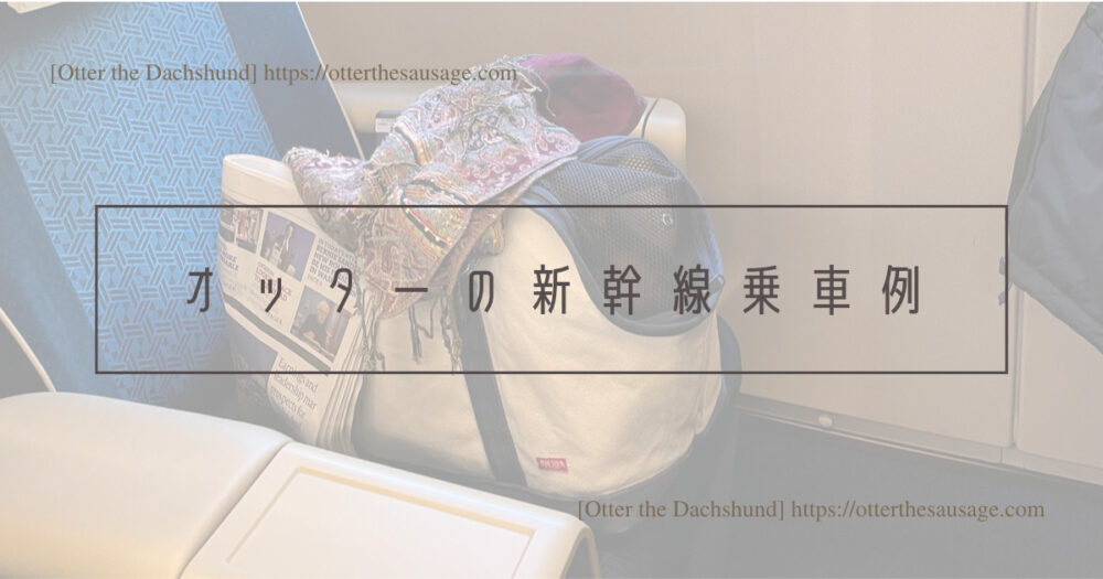 Blog Header image_犬と旅行_犬連れ旅行_travel tips for riding on the bullet train with dogs_Otter the Dachshund_犬連れ新幹線の乗り方完全マニュアル_オッターの新幹線乗車例